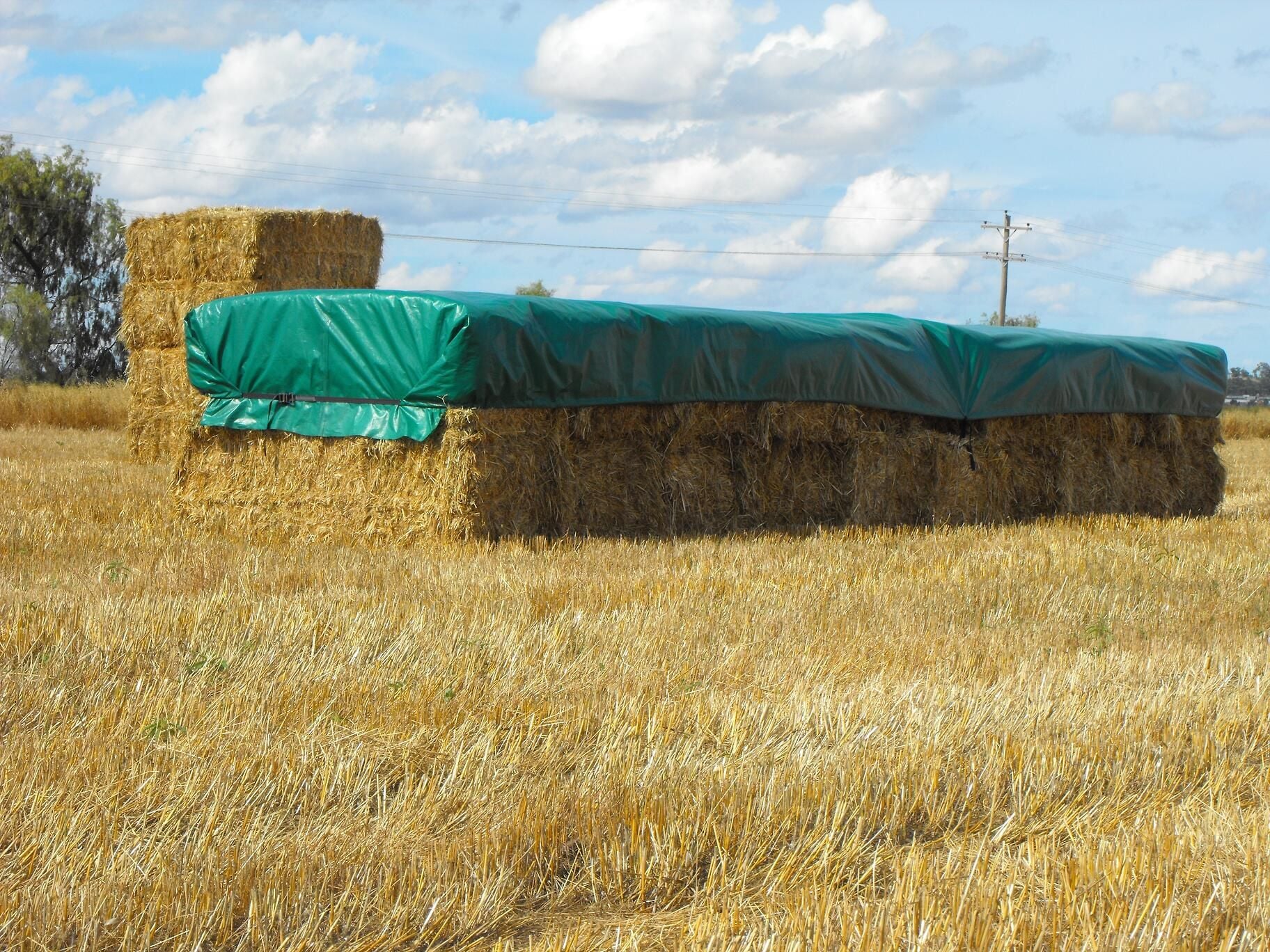 Protect & preserve your hay with a tarp Protect & preserve your hay with a tarp
